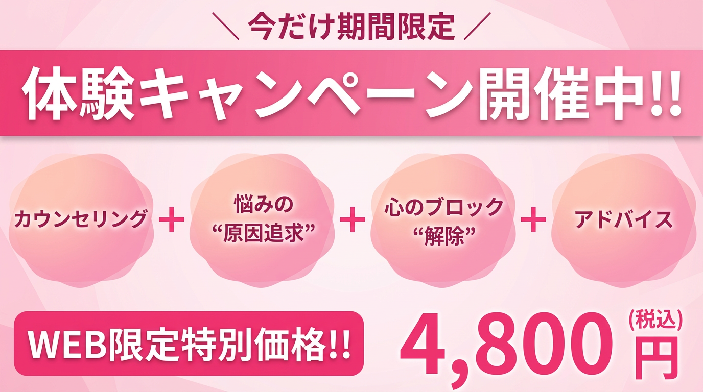 初回限定価格4,800円（通常8,000円）