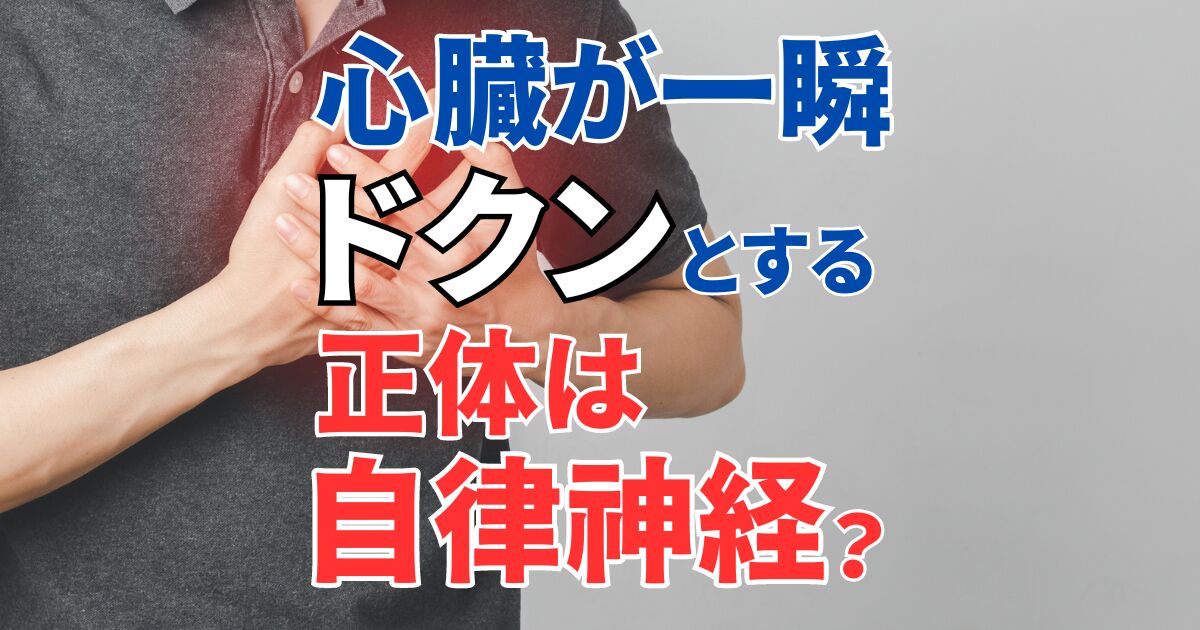 心臓が一瞬「ドクン」と拍動する正体は自律神経？原因＆対処法を解説
