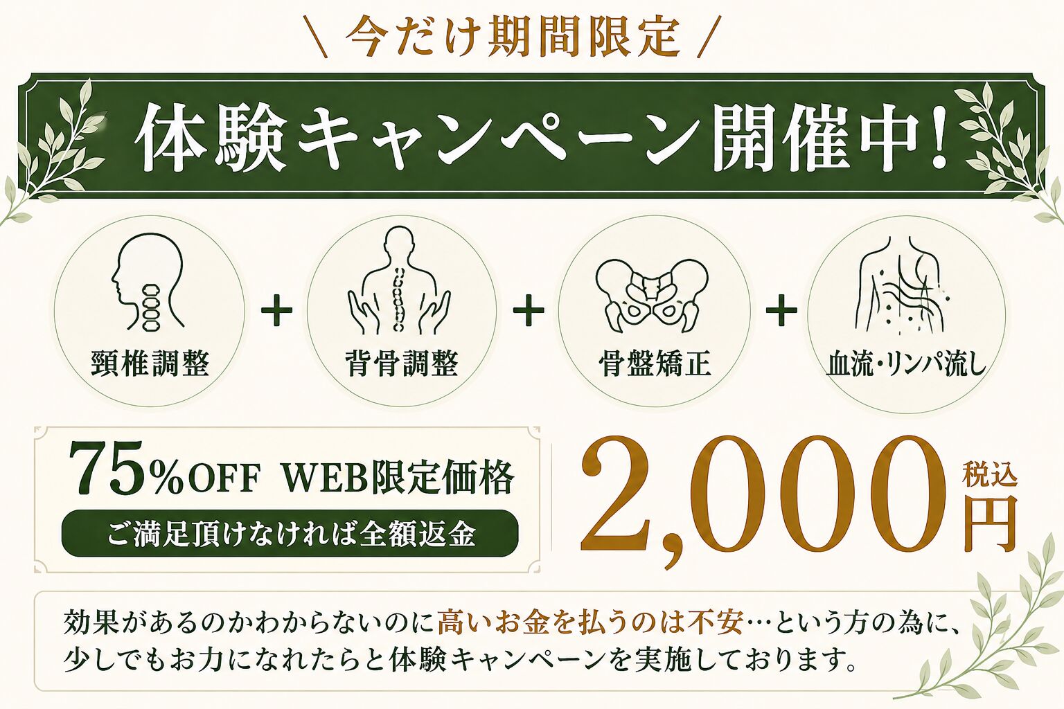 今だけ期間限定 体験キャンペーン開催中 75%OFF WEB限定価格 2,000円(税込)